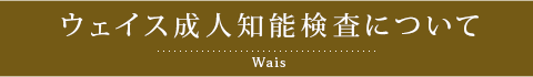 ウェイス成人知能検査